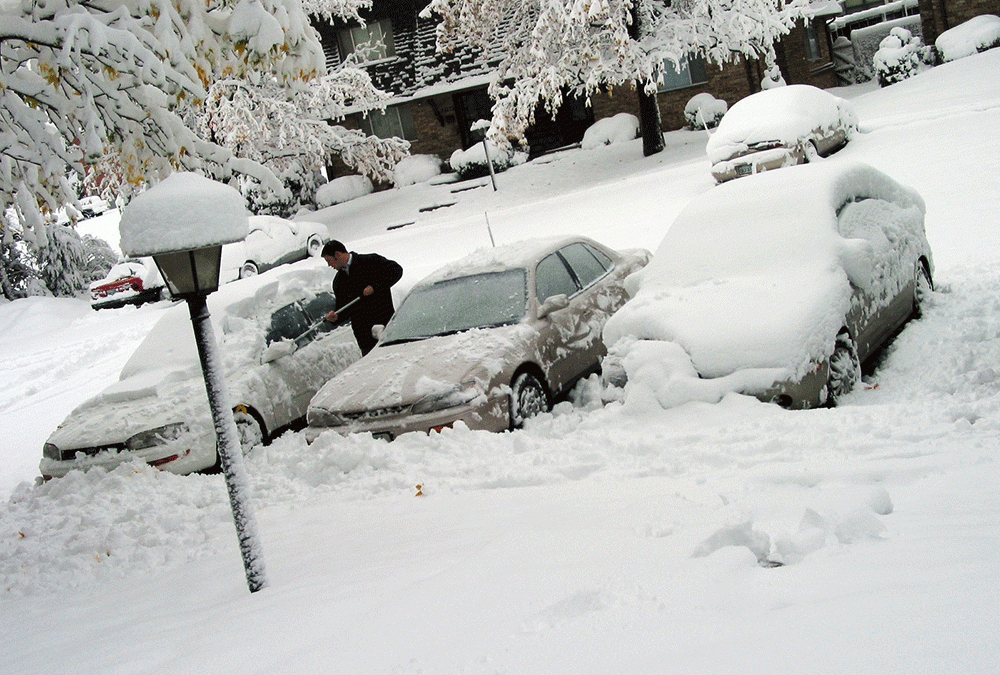 Winter Paintwork Protection